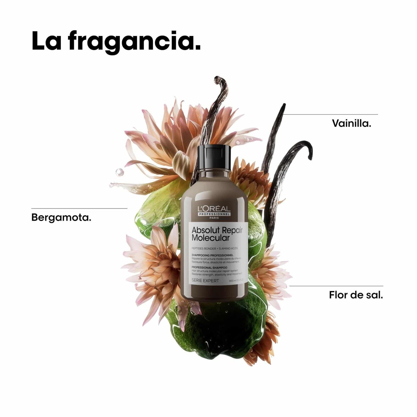 L'Oréal Absolut Repair Molecular Shampoo