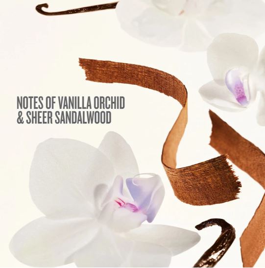 Sol de Janeiro Drench & Dazzle Set