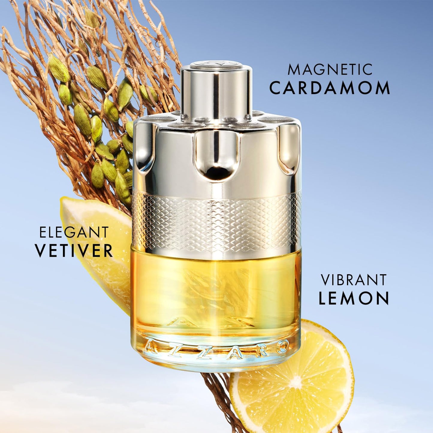 Azzaro Wanted Eau de Toilette (100 ml)