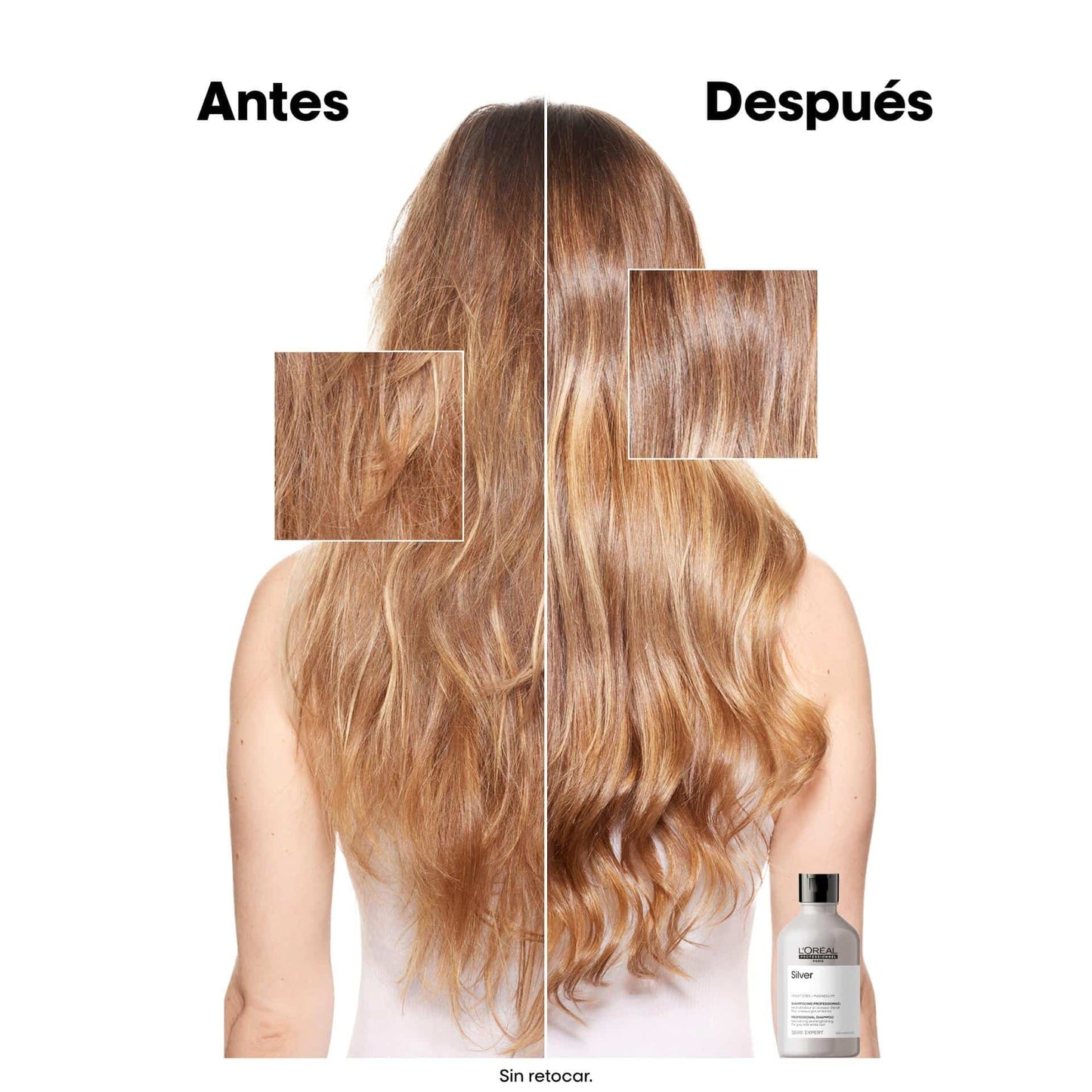 L'oréal Silver Professional Shampoo