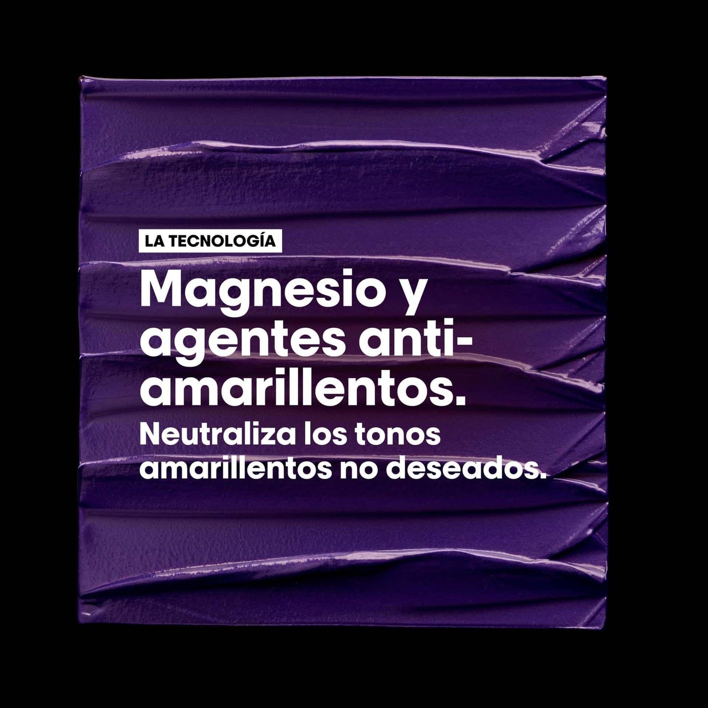 L'oréal Silver Professional Shampoo