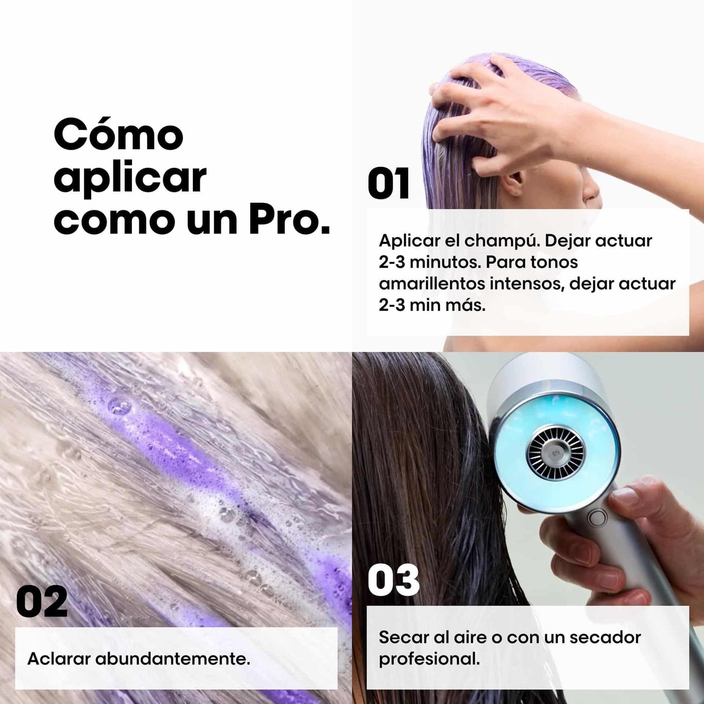 L'oréal Silver Professional Shampoo