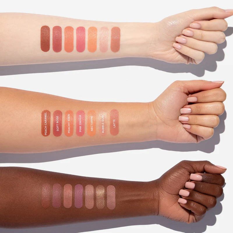 Anastasia Blushed Lip & Cheek Duo