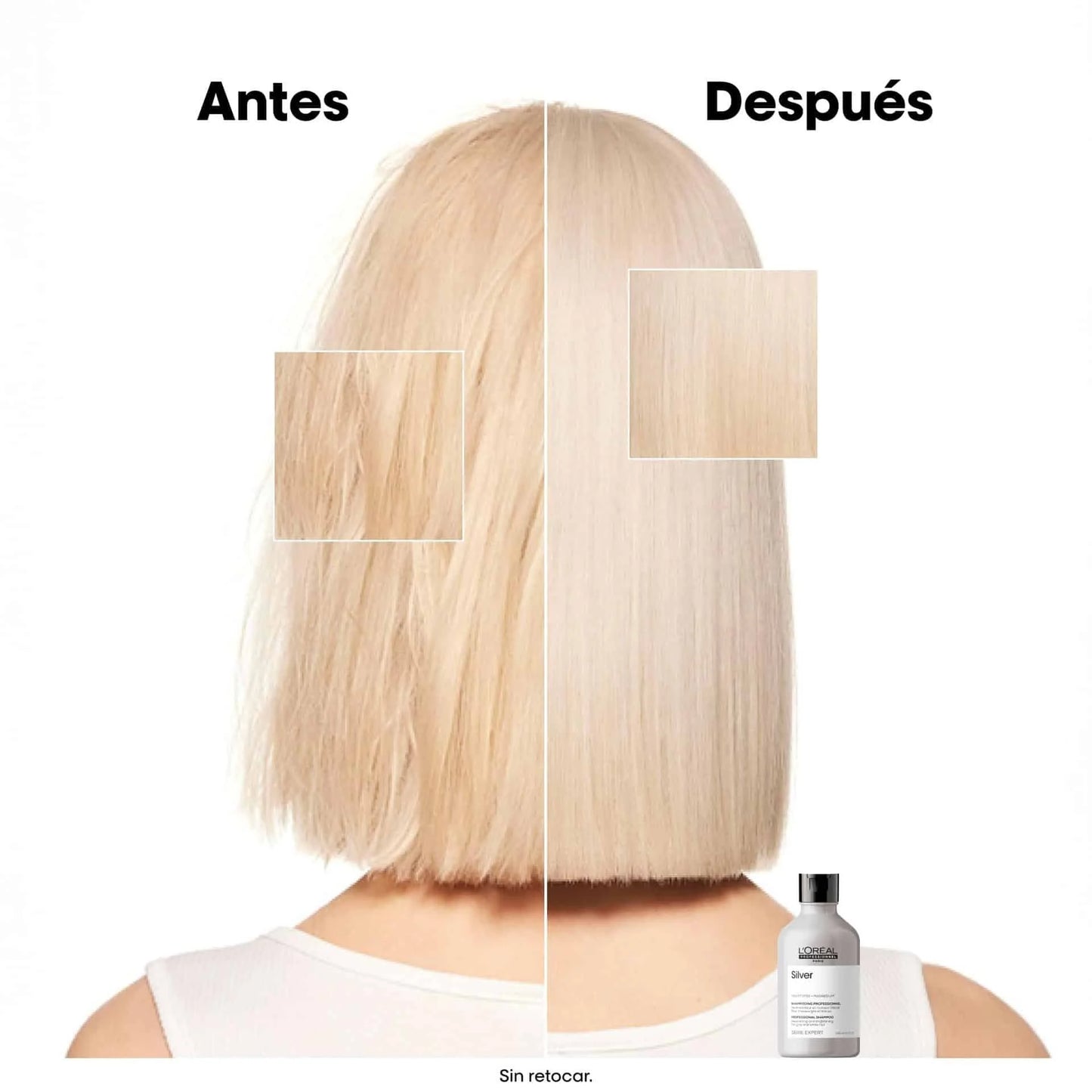 L'oréal Silver Professional Shampoo